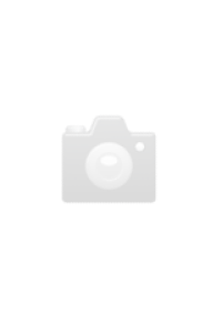 Phillips #00 Kreuz Schraubenzieher - High Quality #00 Schraubendreher