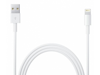 Apple Lightning auf USB Kabel 1 Meter (Original Apple) für iPhone X/Xs