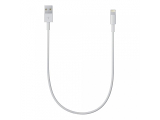 iPhone Lightning - Kurzes Apple iPhone X,8,7,6 Ladekabel - 25 cm