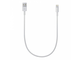 iPhone Lightning Kurzes Apple iPhone Ladekabel 25 cm