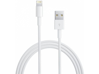 Apple Lightning USB Kabel (Original Apple) für jedes iPhone