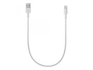 iPhone Lightning Kurzes Apple iPhone Ladekabel 25 cm