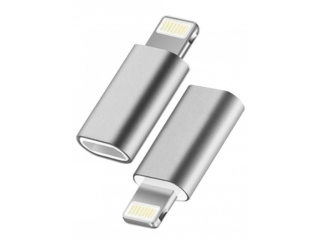 USB C auf Lightning Mini Adapter Konverter in silber