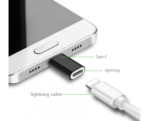 Lightning auf USB C Mini Adapter Konverter in schwarz