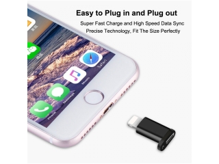 Lightning auf Micro USB Adapter für Apple iPhone - schwarz