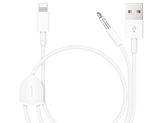 Lightning 3.5mm AUX Adapter iPhone im Auto Sound anschliessen aufladen