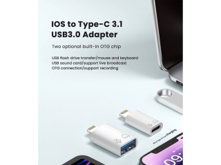 Lightning zu USB-C Kopfhörer Charge & Data OTG Adapter