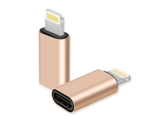 Lightning auf USB-C Mini Adapter Konverter gold