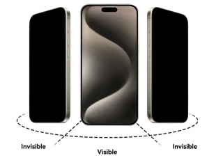 Privacy Screen Apple iPhone 16 Display Schutzfolie Panzerglas