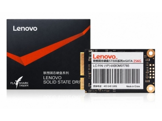 Lenovo Thinklife ST600 mSATA-256G SSD