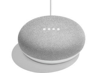Google Nest Mini